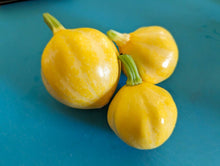 Load image into Gallery viewer, Lemon Squash