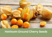 Load image into Gallery viewer, Heirloom Ground Cherry Seeds, Aunt Molly Berry Seeds