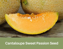 Load image into Gallery viewer, Heirloom Cantaloupe Sweet Passion Seeds Super Sweet