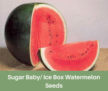 Load image into Gallery viewer, Sugar Baby Watermelon Seeds, Heirloom Seeds, Ice Box Melon, Organic, USA, Small Melons