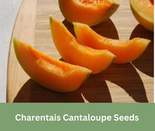 Load image into Gallery viewer, Heirloom Charentais Cantaloupe Seeds, Rare Heirloom, Organic, Non Gmo, One of the Sweetest Melons