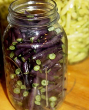 Load image into Gallery viewer, Purple Snap Beans - Cherokee Trail of Tears