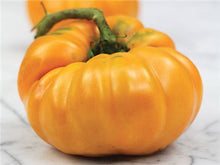 Load image into Gallery viewer, Buy Online High Quality Kelloggs Breakfast, Tomato Seeds Heirloom | Buy Rare, And Extraordinary Heirloom Seeds - Seeds to Cherish