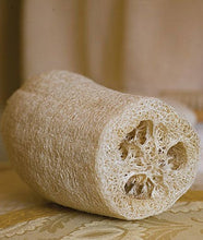 Load image into Gallery viewer, Buy Online High Quality 20 Loofah Sponge Gourd Seeds, Luffa, Heirloom, Organic, Non Gmo, USA | Buy Rare, And Extraordinary Heirloom Seeds - Seeds to Cherish