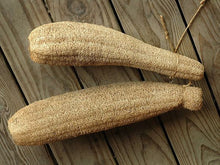 Load image into Gallery viewer, Buy Online High Quality 20 Loofah Sponge Gourd Seeds, Luffa, Heirloom, Organic, Non Gmo, USA | Buy Rare, And Extraordinary Heirloom Seeds - Seeds to Cherish