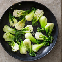 Load image into Gallery viewer, Buy Online High Quality Heirloom Bok Choy Seeds, Organic, Non Gmo, | Buy Rare, And Extraordinary Heirloom Seeds - Seeds to Cherish
