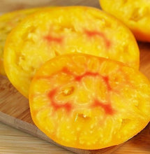 Load image into Gallery viewer, Buy Online High Quality Heirloom Pineapple Tomato Seeds, Beefsteak, Organic, Non Gmo, USA | Buy Rare, And Extraordinary Heirloom Seeds - Seeds to Cherish