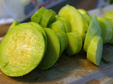 Load image into Gallery viewer, Buy Online High Quality Heirloom Tromboncino Squash Seeds, Zucchinio Squash, Rampicante, Zucchetta, Heavy Yields, Organic, USA | Buy Rare, And Extraordinary Heirloom Seeds - Seeds to Cherish