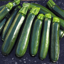 Load image into Gallery viewer, Buy Online High Quality Heirloom Zucchini Seeds, Black Beauty | Buy Rare, And Extraordinary Heirloom Seeds - Seeds to Cherish