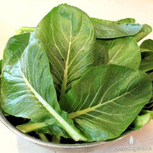 Load image into Gallery viewer, Buy Online High Quality Heirloom Mustard Green Seeds, Tendergreens | Buy Rare, And Extraordinary Heirloom Seeds - Seeds to Cherish