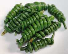 Load image into Gallery viewer, Buy Online High Quality Yard Long Bean Seed Mix, Red and Green | Buy Rare, And Extraordinary Heirloom Seeds - Seeds to Cherish