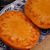 Load image into Gallery viewer, Buy Online High Quality Kelloggs Breakfast, Tomato Seeds Heirloom | Buy Rare, And Extraordinary Heirloom Seeds - Seeds to Cherish