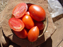 Load image into Gallery viewer, Buy Online High Quality Heirloom Amish Paste Tomato Seeds, Great for Sauce | Buy Rare, And Extraordinary Heirloom Seeds - Seeds to Cherish