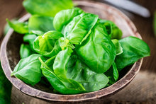 Load image into Gallery viewer, Buy Online High Quality Heirloom Sweet Basil Seeds, Organic, Non Gmo, | Buy Rare, And Extraordinary Heirloom Seeds - Seeds to Cherish
