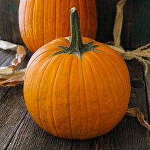 Load image into Gallery viewer, Buy Online High Quality Heirloom Pumpkin Mix Seeds, 3 varieties, | Buy Rare, And Extraordinary Heirloom Seeds - Seeds to Cherish