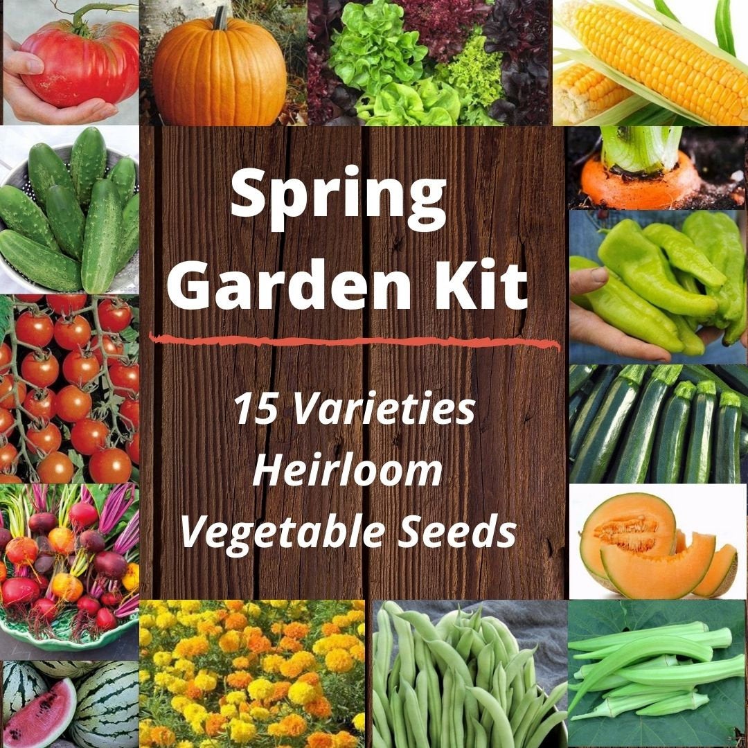 garden seed online 15 Varieties, Heirloom Vegetable Garden Seed Kit, Organic, Non Gmo