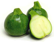 Load image into Gallery viewer, Buy Online High Quality Heirloom Round Tatume Squash Seeds, Zucchini Squash | Buy Rare, And Extraordinary Heirloom Seeds - Seeds to Cherish