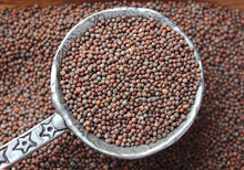 Load image into Gallery viewer, Buy Online High Quality Calabrese Broccoli Seeds | Buy Rare, And Extraordinary Heirloom Seeds - Seeds to Cherish