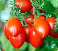 Load image into Gallery viewer, Buy Online High Quality Heirloom Amish Paste Tomato Seeds, Great for Sauce | Buy Rare, And Extraordinary Heirloom Seeds - Seeds to Cherish