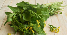 Load image into Gallery viewer, Buy Online High Quality Heirloom Mustard Green Seeds, Tendergreens | Buy Rare, And Extraordinary Heirloom Seeds - Seeds to Cherish