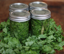 Load image into Gallery viewer, Buy Online High Quality Heirloom Mustard Green Seeds, Tendergreens | Buy Rare, And Extraordinary Heirloom Seeds - Seeds to Cherish