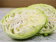 Load image into Gallery viewer, Buy Online High Quality Heirloom Cabbage, Early Jersey Wakefield Seeds | Buy Rare, And Extraordinary Heirloom Seeds - Seeds to Cherish

