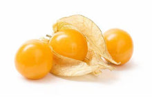 Load image into Gallery viewer, Buy Online High Quality Heirloom Ground Cherry Seeds, Aunt Molly Berry Seeds | Buy Rare, And Extraordinary Heirloom Seeds - Seeds to Cherish