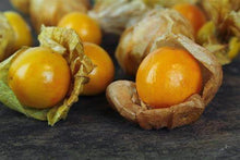 Load image into Gallery viewer, Buy Online High Quality Heirloom Ground Cherry Seeds, Aunt Molly Berry Seeds | Buy Rare, And Extraordinary Heirloom Seeds - Seeds to Cherish