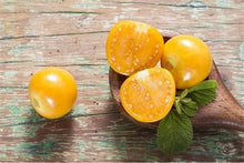 Load image into Gallery viewer, Buy Online High Quality Heirloom Ground Cherry Seeds, Aunt Molly Berry Seeds | Buy Rare, And Extraordinary Heirloom Seeds - Seeds to Cherish
