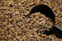 Load image into Gallery viewer, Buy Online High Quality 75 Heirloom Dark Red Beet Seeds, Organic, Non Gmo ,USA, Beet Juice | Buy Rare, And Extraordinary Heirloom Seeds - Seeds to Cherish