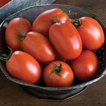 Load image into Gallery viewer, Buy Online High Quality Heirloom Amish Paste Tomato Seeds, Non Gmo, Organic | Buy Rare, And Extraordinary Heirloom Seeds - Seeds to Cherish