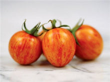 Load image into Gallery viewer, Buy Online High Quality Artisan Tomato Pink Bumble Bee Seeds, Organic | Buy Rare, And Extraordinary Heirloom Seeds - Seeds to Cherish