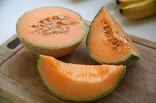 Load image into Gallery viewer, Buy Online High Quality Heirloom Minnesota Midget Cantelope Seeds | Buy Rare, And Extraordinary Heirloom Seeds - Seeds to Cherish
