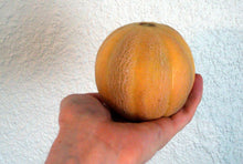 Load image into Gallery viewer, Buy Online High Quality Heirloom Minnesota Midget Cantelope Seeds | Buy Rare, And Extraordinary Heirloom Seeds - Seeds to Cherish