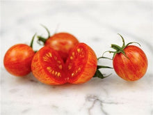 Load image into Gallery viewer, Buy Online High Quality Artisan Tomato Pink Bumble Bee Seeds, Organic | Buy Rare, And Extraordinary Heirloom Seeds - Seeds to Cherish