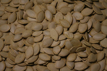 Load image into Gallery viewer, Buy Online High Quality Heirloom Golden Zucchini Squash Seeds | Buy Rare, And Extraordinary Heirloom Seeds - Seeds to Cherish