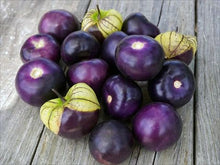 Load image into Gallery viewer, Buy Online High Quality Heirloom Tomatillo Purple Seeds Rare USA Organic Non Gmo | Buy Rare, And Extraordinary Heirloom Seeds - Seeds to Cherish