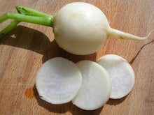 Load image into Gallery viewer, 200 Heirloom Radish Seeds White Hailstone Organic Non Gmo