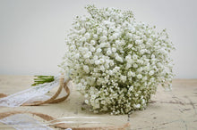 Load image into Gallery viewer, 1000 Baby&#39;s breath flower seeds | Gypsophila Elegans | 1 Day Shipping
