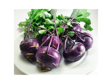 Load image into Gallery viewer, 200 Kohlrabi Purple Vienna Vegetable Seeds Organic Non Gmo 1 DAY SHIPPING from USA