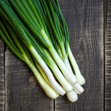 Load image into Gallery viewer, Organic Green Onion Seeds | Tokyo Long Bunching Onions | Non Gmo | Vegetable Garde | Scallion Seed | Indoor Outdoor | In Pots
