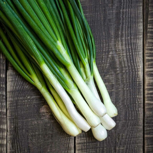 Organic Green Onion Seeds | Tokyo Long Bunching Onions | Non Gmo | Vegetable Garde | Scallion Seed | Indoor Outdoor | In Pots