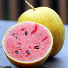 Load image into Gallery viewer, Golden Midget Watermelon