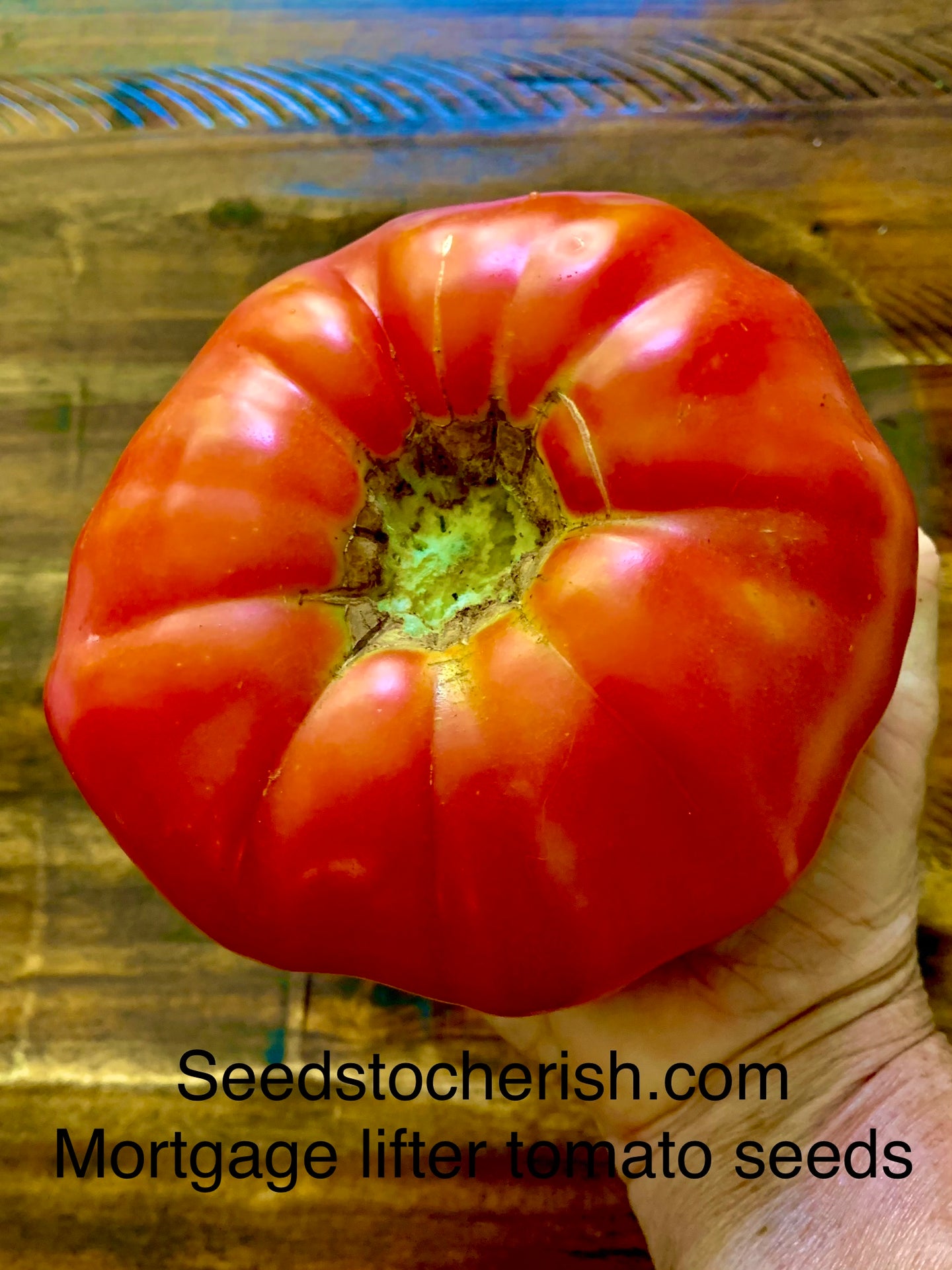 Heirloom Mortgage Lifter Tomato Seeds, Non Gmo, Organic