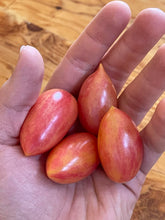 Load image into Gallery viewer, Maglia Rosa Cherry Tomato Seeds Organic
