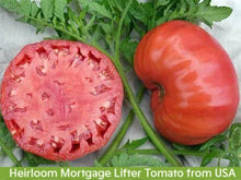 Load image into Gallery viewer, Heirloom Mortgage Lifter Tomato Seeds, Non Gmo, Organic
