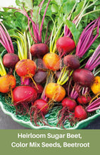 Load image into Gallery viewer, Heirloom Sugar Beet, Color Mix Seeds, Beetroot,
