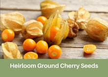 Load image into Gallery viewer, Heirloom Ground Cherry Seeds, Aunt Molly Berry Seeds
