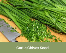 Load image into Gallery viewer, Heirloom Garlic Chives Seeds Organic Non Gmo
