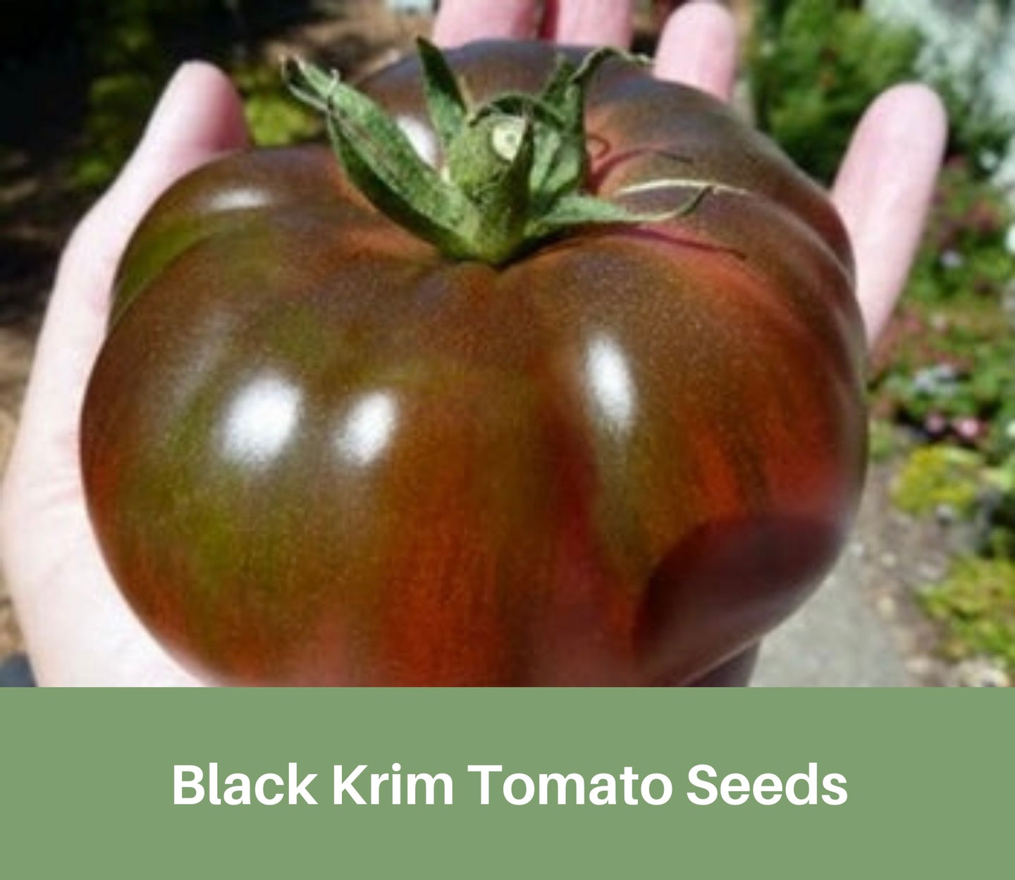 Heirloom Black Krim Tomato Seeds, Organic